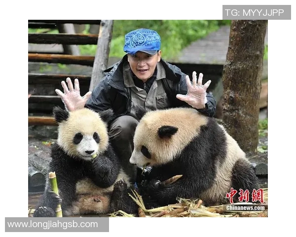 外国足球明星亲密接触熊猫展现友谊与环保意识的美好瞬间